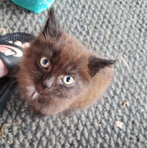 Meet your Posher, Kristin